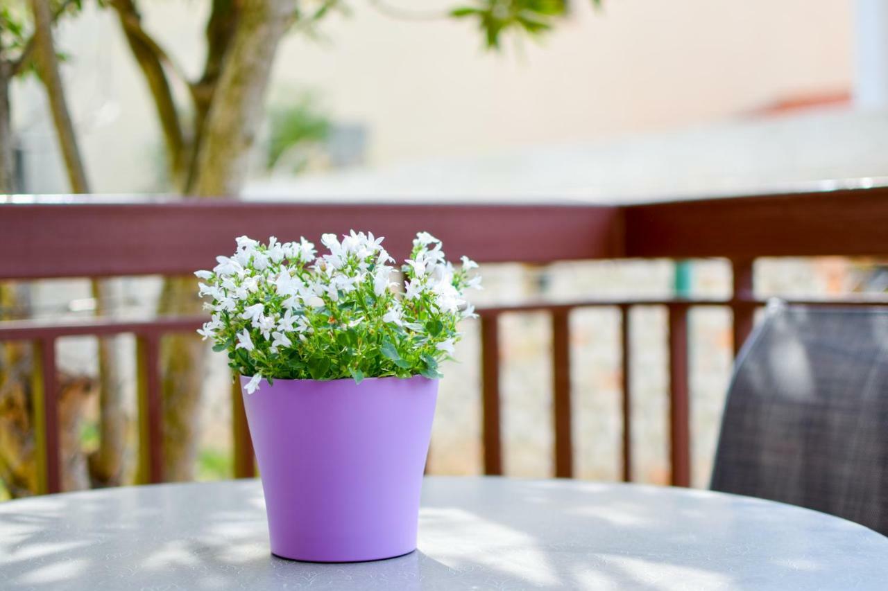 Apartment Darinka PUY 외부 사진